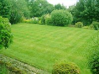 A well mown lawn.